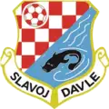 TJ Slavoj Davle