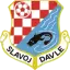 TJ Slavoj Davle