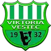 TJ Viktoria Vestec C