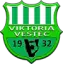 TJ Viktoria Vestec C